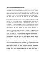 Eseja 'The Importance of Protecting the Environment', 1.