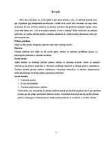 Referāts 'Pārtikas piedevu lietošanas lietderīgums', 2.