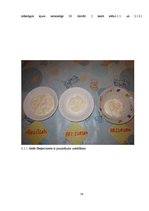 Referāts 'Pārtikas piedevu lietošanas lietderīgums', 14.