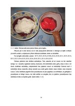 Referāts 'Pārtikas piedevu lietošanas lietderīgums', 16.