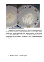 Referāts 'Pārtikas piedevu lietošanas lietderīgums', 17.