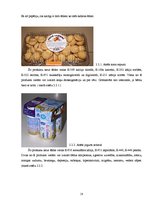 Referāts 'Pārtikas piedevu lietošanas lietderīgums', 18.