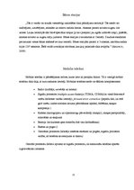 Referāts 'Modernās tehnoloģijas mūsdienu sabiedrībā', 21.