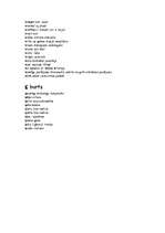 Konspekts 'Žargoni', 13.