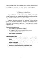 Biznesa plāns 'Uzņēmuma dibināšana', 6.