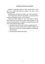 Biznesa plāns 'Uzņēmuma dibināšana', 7.