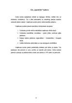 Biznesa plāns 'Uzņēmuma dibināšana', 10.