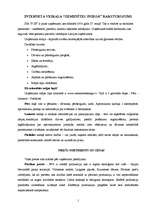 Eseja 'Interneta veikala "Zemenītes sniegā" raksturojums', 1.