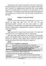 Eseja 'Interneta veikala "Zemenītes sniegā" raksturojums', 4.