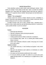 Eseja 'Interneta veikala "Zemenītes sniegā" raksturojums', 5.