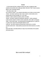 Referāts 'Mode', 3.