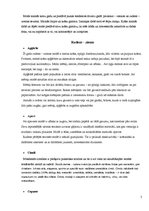 Referāts 'Mode', 5.