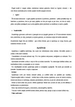 Referāts 'Mode', 7.