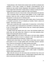 Referāts 'Mode', 10.