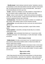 Referāts 'Mode', 16.