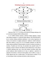 Diplomdarbs 'Reklāmas veidošanas īpatnības uzņēmumā AS "Laima"', 52.