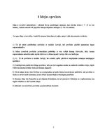 Biznesa plāns 'Biznesa plāns viesu namam', 2.