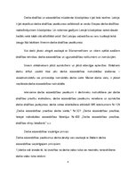 Prakses atskaite 'Būvfirmas projektu vadītāja palīga prakse', 6.