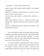 Prakses atskaite 'Būvfirmas projektu vadītāja palīga prakse', 10.