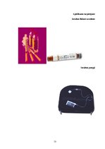 Diplomdarbs 'Cukura diabēta pacientu zināšanas par pareizu insulīna ievadi', 53.