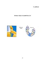 Diplomdarbs 'Cukura diabēta pacientu zināšanas par pareizu insulīna ievadi', 60.