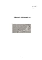 Diplomdarbs 'Cukura diabēta pacientu zināšanas par pareizu insulīna ievadi', 63.