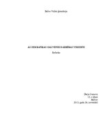 Prezentācija 'AS "SEB banka" galvenie darbības virzieni', 1.