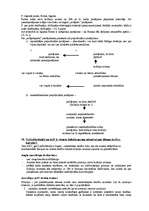 Konspekts 'Starptautiskās privātās tiesības - atbildes uz 40 jautājumiem', 5.