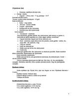 Prakses atskaite 'Aprūpes plāns', 4.