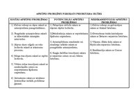 Prakses atskaite 'Aprūpes plāns', 7.