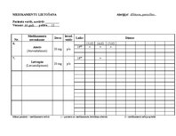 Prakses atskaite 'Aprūpes plāns', 19.