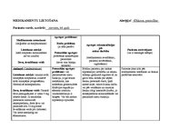 Prakses atskaite 'Aprūpes plāns', 20.