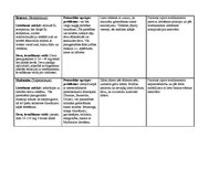 Prakses atskaite 'Aprūpes plāns', 21.