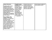 Prakses atskaite 'Aprūpes plāns', 22.