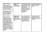 Prakses atskaite 'Aprūpes plāns', 23.