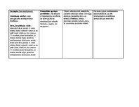 Prakses atskaite 'Aprūpes plāns', 24.