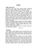 Eseja 'Risks', 1.