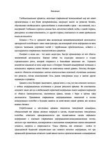 Diplomdarbs 'Проект создания предприятия электронной коммерции', 2.