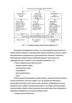 Diplomdarbs 'Проект создания предприятия электронной коммерции', 19.