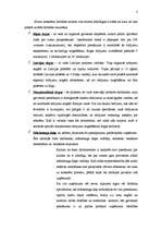 Referāts 'Virzības tirgū programma', 3.