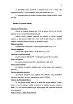 Referāts 'Virzības tirgū programma', 9.