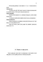 Referāts 'Virzības tirgū programma', 10.