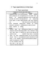 Referāts 'Virzības tirgū programma', 15.