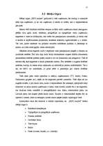 Referāts 'Virzības tirgū programma', 17.