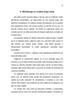 Referāts 'Virzības tirgū programma', 19.