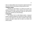 Referāts 'Virzības tirgū programma', 23.