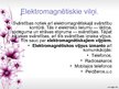 Prezentācija 'Elektromagnētisko viļņu izmantošana komunikācijās', 3.