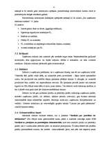 Prakses atskaite 'Prakses atskaite grāmatvedībā', 6.