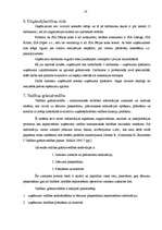 Prakses atskaite 'Prakses atskaite grāmatvedībā', 14.