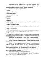 Prakses atskaite 'Prakses atskaite grāmatvedībā', 16.